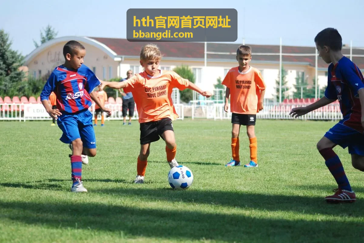 hth官网首页网址移动端快捷打开说明