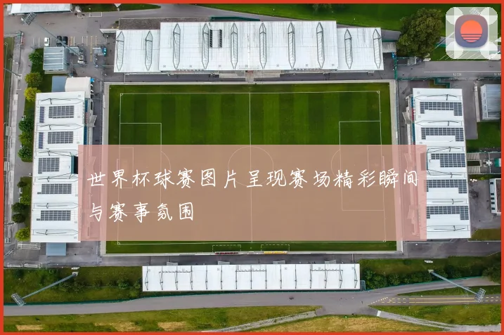 世界杯球赛图片呈现赛场精彩瞬间与赛事氛围