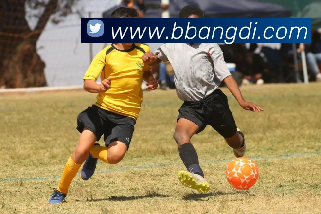 qy球友会(中国)官方网站APP 高清赛事图